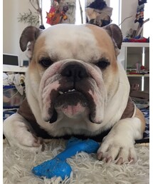 ニイチ1人遊び♥ | その他