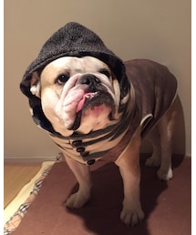 ニイチも防寒 | その他