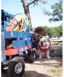 チラリズム💏 | その他