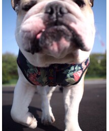 にいちゲット💓 | その他