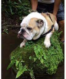 お留守番 | その他