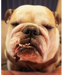 寒いねー☃️ | その他