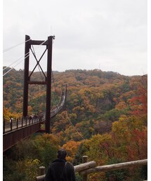 🍁 | その他