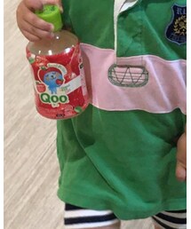 POLO RALPH LAUREN | ポロシャツ