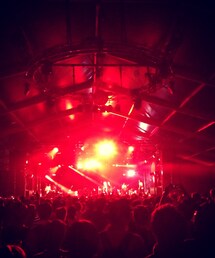 フジロック(その他)