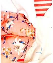 petit main | セットアップ