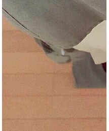 Lisa Larson | バッグ