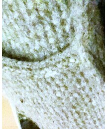 Calimar | トップス