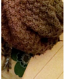 しまむら | ファッション雑貨