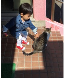 ニャンニャンなでなで | その他