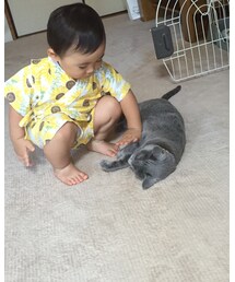 にゃんにゃんにゃん♡ | その他