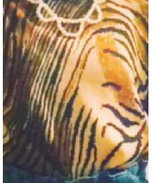 used | ニット/セーター