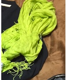 JUNRED | マフラー