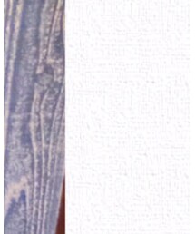 ZARA | ストール/ショール