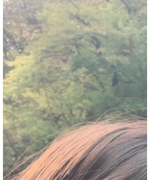 日光 | その他