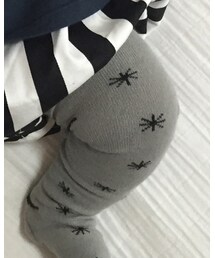 BOBO CHOSES | タイツ/ストッキング