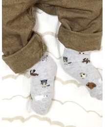 next | レッグウェア