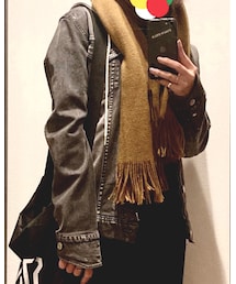 STEALTH STELL'A | デニムジャケット