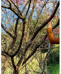 BILLABONG | バックパック/リュック