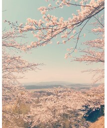 石山観音池公園 | その他