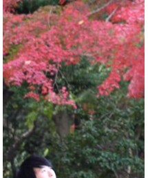 2016年 秋 紅葉 | その他