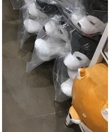 adidas | スニーカー