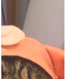 ガチャガチャ | ペットウェア