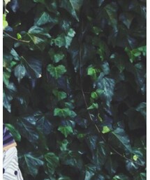 HARE | ハンチング/ベレー帽