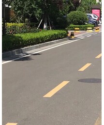 FOREVER 21 | トップス