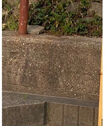 UGG | スリッポン