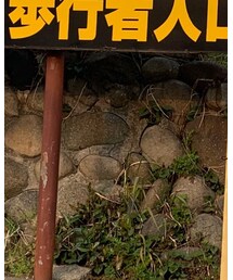 UNIQLO | キャップ