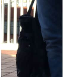 ワークマン | トートバッグ