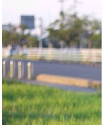 Champion | Tシャツ/カットソー