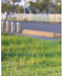 UNIQLO | デニムパンツ