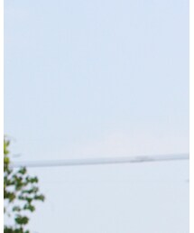 THE NORTH FACE | Tシャツ/カットソー