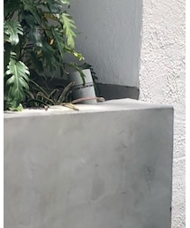 H | パンツ