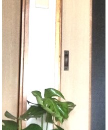 EDWIN503 | その他パンツ