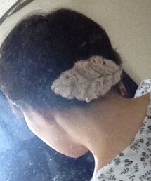 何年か前に買ったリーフバレッタ♪(バレッタ/ヘアクリップ)