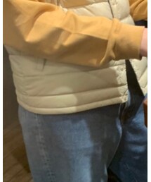 DANTON | ダウンベスト