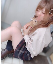 うさぎ | その他