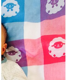 赤ちゃんの城 | その他ベビー用品