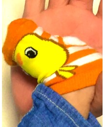 日清 | レッグウェア