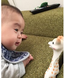 ソフィーと | その他