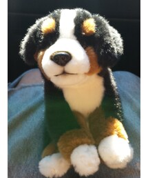 マソのワンワンのぬいぐるみ(おもちゃ)