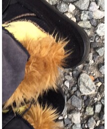 CHRISTOPHER NEMETH | ソックス/靴下