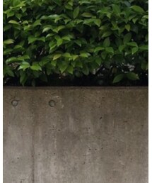 HUMAN MADE | Tシャツ/カットソー