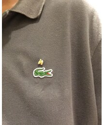 LACOSTE | ポロシャツ