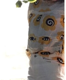 DECO | シャツ/ブラウス