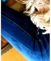 ZARA | デニムパンツ