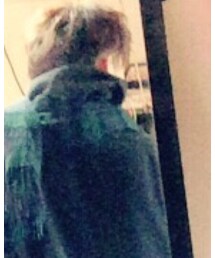 no brand | ストール/ショール